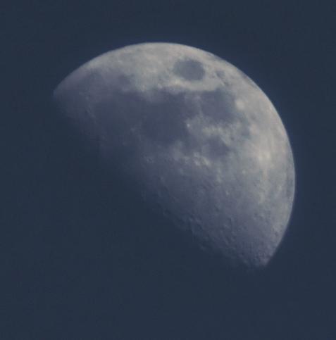 leicht bläulicher Crop