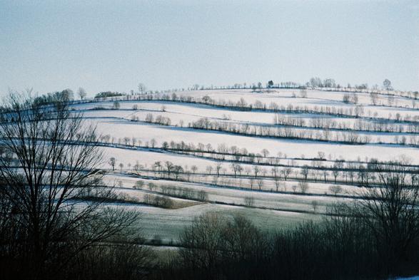 Blick auf einen Hügel mit Schnee auf dem Baumreihen Linien zeichnen.
