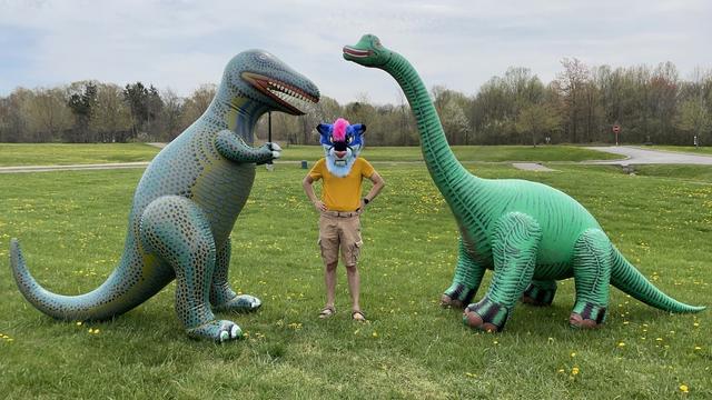 A photograph of a man in a goldenrod shirt and shorts posing with an inflatable tyrannosaurus and brachiosaurus in a field of dandelions.  The man is wearing a smilodon fursuit head.