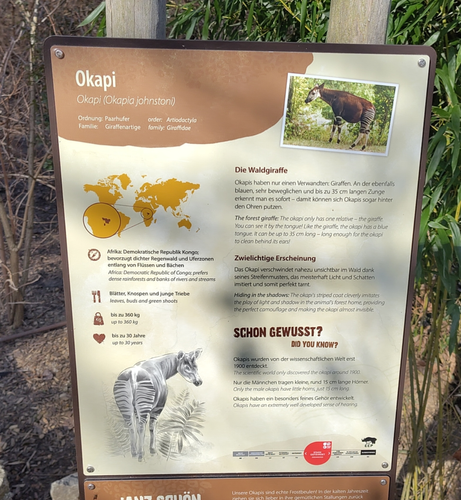 desorption at a Zoo about an OKAPI