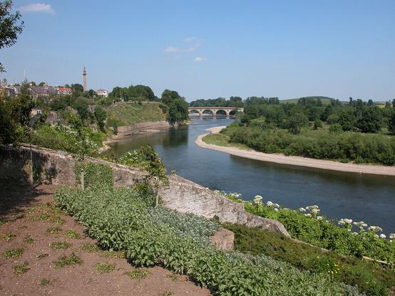 The River Tweed at Coldstream. The image shows a sunny view down a slope to a river that enters the frame at the bottom of the right side before progressing to the middle, then curving right again to a distant four-arched stone bridge. Above the left bank are buildings, partly hidden by trees. The sky is blue.