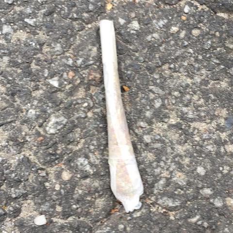 "This picture shows a cigarette butt lying on its side on what appears to be an asphalt surface."