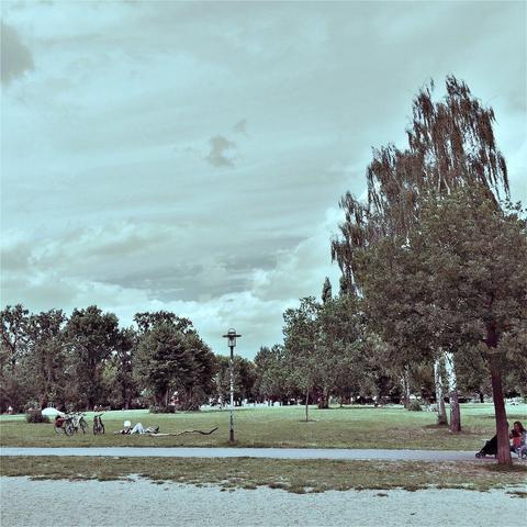 This picture shows a tranquil park scene on a cloudy day. A lush green field is visible with people enjoying their time outdoors. The main focus of the image is a large, leafless tree in the foreground under which there are benches where one person is seated. To the right, a street light can be seen and beyond it, more park-goers can be spotted. The overall mood of the picture is peaceful and serene, capturing a typical day in a city park.