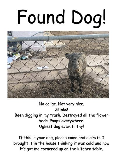 A mock "found dog" poster with the following text: "Found Dog! No collar. Not very nice. Stinks! Been digging in my trash. Destroyed all the flower beds. Poops everywhere. Ugliest dog ever. Filthy! If this is your dog, please come and claim it. I brought it in the house thinking it was cold and now it's got me cornered up on the kitchen table."

The picture is of a javelina looking at the camera through a low chainlink fence. In the background is trash it has strewn around.