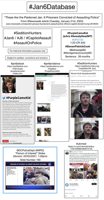 Photos and information about convicted January 6th rioter Steven Patrick Cook (Bethesda, Maryland).