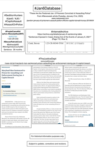 Screenshots of court information pertaining to convicted January 6th rioter Steven Patrick Cook (Bethesda, Maryland).