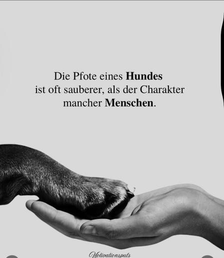 Die Pfote eines Hundes ist oft sauberer, als der Charakter mancher Menschen.🖖