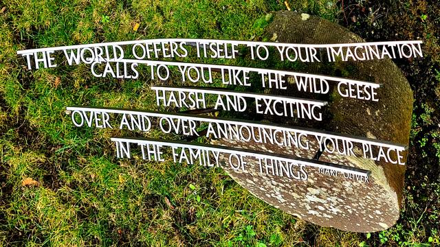 The final lines of a poem called Wild Geese by Mary Oliver made of metal and placed on a stone stand. The lines read: The world offers itself to your imagination, calls to you like the wild geese, harsh and exciting, over and over, announcing your place in the family of things.