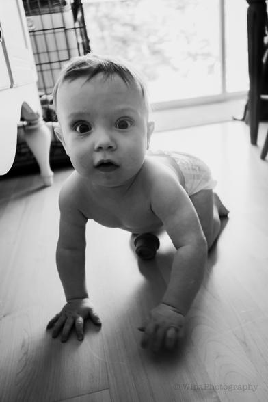 Image of a baby crawling on the floor at the camera looking at the camera. The image is lit by window light.
