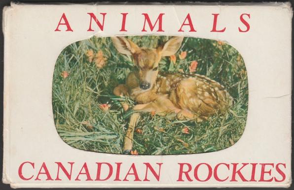 Pack of eight printed colour postcards showing views of eight animals of the Canadian Rockies. Animals shown are Deer Fawn, Bull Moose, Mountain Goat, Bull Elk, Buffalo, Bighorn Sheep and Lamb, Golden-Mantled Squirrel and Black Bear and Cubs.
Published by Smith Lithograph Co Limited, Vancouver from transparencies produced by Canada in Colour Limited, Banff, distributed by Harry Rowed, O'Neill and Associates Ltd, Jasper, Cards Nos B.33, N.5, B.39, J.28, N.11, N.3, N.6 and N.1, all dated either 1956 or 1957.
Postally unused, but with name and address of Janet Lanigan, 1076 Andsley Road, Schenectady, New York 12308 to the back of the packet.
Very good condition, with typical wear to packet cover, though individual cards are excellent to near mint.