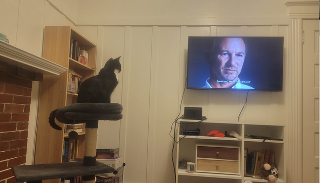 Photograph of a wall-mounted TV showing an interview scene of Christian Horner from S7 of Drive To Survive, with a tuxedo cat on a cat tree staring daggers at him from the left. In the background is a tan bookshelf and a brick fireplace.