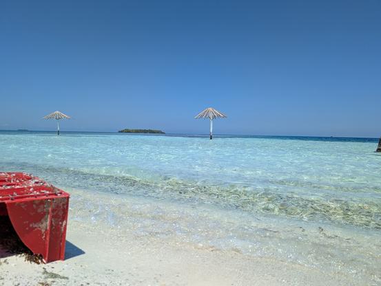 Broken crate on Belize beach