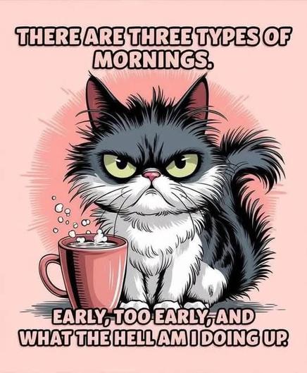 A grumpy-looking cartoon cat with fluffy black and white fur sits next to a red coffee mug filled with a hot beverage. The background is a soft pink color. The text above the cat reads: "There are three types of mornings." Below the cat, the text continues: "Early, too early, and what the hell am I doing up."