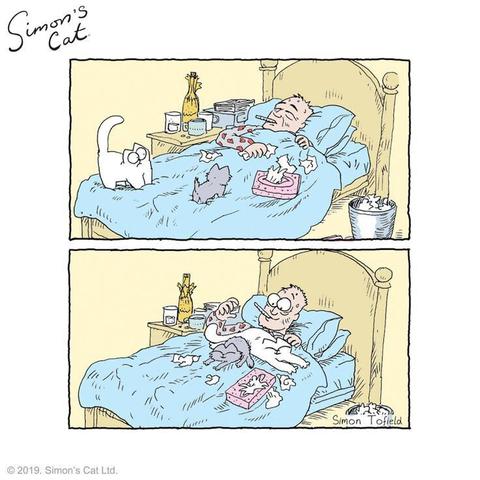 A two-panel comic from "Simon's Cat" by Simon Tofield. 

In the first panel, a man is lying in bed looking sick, with a thermometer in his mouth and a hot water bottle on his head. The bedside table is cluttered with medicine bottles, a glass of water, and a box of tissues. Used tissues are scattered on the bed and floor. A white cat is standing on the bed, looking at the man.

In the second panel, the man appears to be feeling better, smiling and sitting up in bed. The cat is now lying on his chest, and the man is petting it. The room remains messy with tissues scattered around.