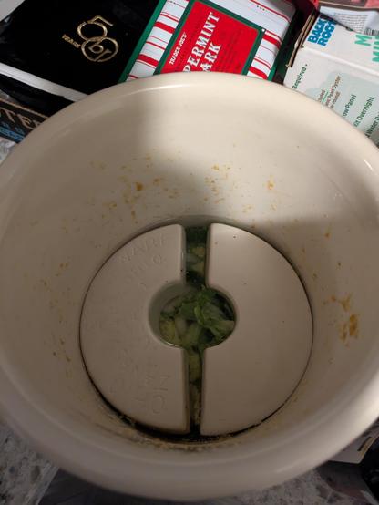The same nappa cabbage and green onions in a fermentation Crock