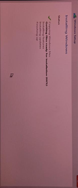 The composition shows a Windows Setup screen in a XEN VM during the installation process. The title at the top right says "Windows Setup". Below that, it says "Installing Windows." The status is as follows: "Copying Windows files" which has a green checkmark next to it, "Getting files ready for installation (66%)," "Installing features," "Installing updates," and "Finishing up." The background of the screen is a light pink or peach color.