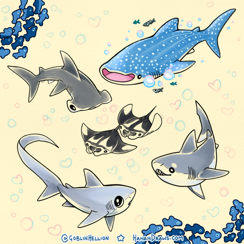 A flash tattoo sheet showing 5 different shark designs! Including: a whale shark, a hammerhead shark, two manta rays swimming together, a great white shark, and a thresher shark.