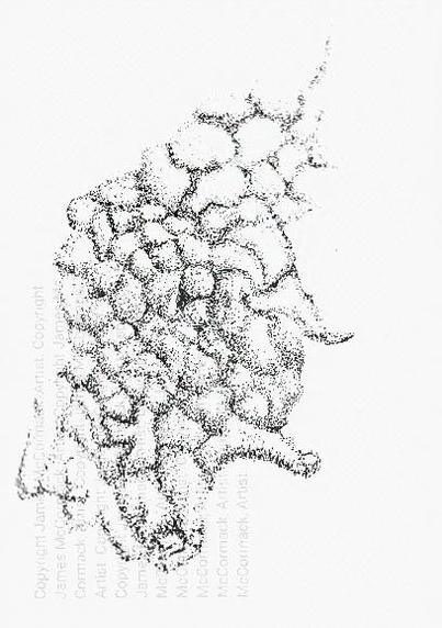 Pointillist dot patterns form an abstract shape, creating an intricate gnarled texture that seems to mimic a biological or geological form. The use of black dots on a white background highlights the complexity and depth of the design.