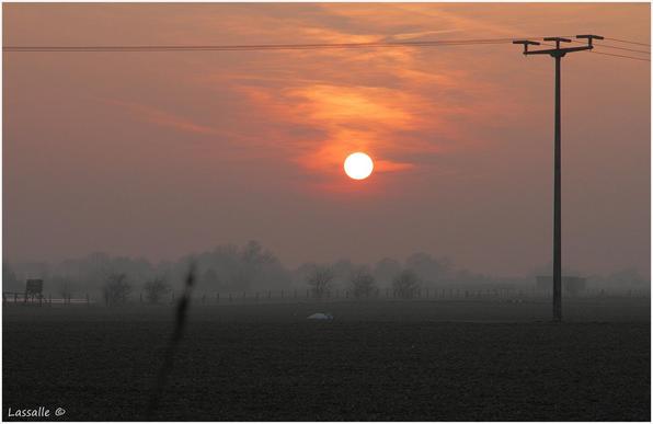 Das Bild wird bestimmt durch den roten Ball der Sonne. Durch den sehr starken Dunst ist die Landschaft, hier Wiese und Feld sehr schlecht zu erkennen.
Im Hintergrund sind Schemen von Bäumen erkennbar, ein Weidezaun zieht sich durchs Bild. An dessen linkem Ende ist ein Hochstand erkennbar.
Unterhalb, etwa im letzten Viertel rastet ein Schwan.
Am rechten Bildrand zeigt sich ein Strommast, die gespannten Leitungsdrähte ziehen sich im oberen Bereich zur linken Seite.