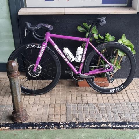 A purple "Standert" road bicycle is parked on a tiled sidewalk next to a dark gray wall. The bike features black "Team" DT Swiss wheels with disc brakes, a black seat, and two water bottles in white cages on the frame. A potted plant with green leaves sits near the rear wheel of the bike. A rusty metal bollard stands on the sidewalk in front of the bike.