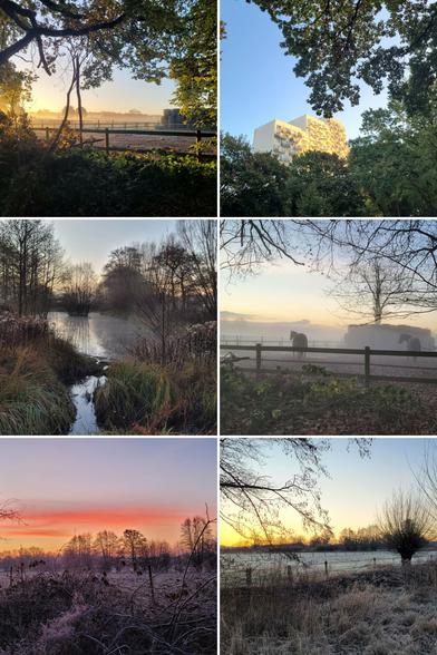 Sechs Bilder in einer Collage, alle sind gleich groß und quadratisch und bilden Morgenrot ab.
Von oben links nach unten rechts.
1. Blick durch laubbegrünte Äste dien einen Rahmen bilden auf mehrere Paddocks. Am Horizont die Silhouette einer baumrreihe in gelbem morgenlicht. Leichter bodennebel. Rechts im Bild gestapelte Rundheuballen.
2. Blick durch grün behauptet Äste auf die oberen Stockwerke der weißen, verschachtelten Hochhäuser am osdorfer born. Der Himmel ist blau, die Fassade von der morgensonne gelborange angestrahlt.
3. Ein Tümpelteich umgeben con winterkahlen Sträuchern, Büschen und Bäumen. Ein Wasserhaushalt führt auf den Betrachter zu. In der glatten Oberfläche spiegelt sich der klare himmel graubläulich. Am Horizont ein roangegelber lichtstreifen.
4. Zwei Pferde stehen mit dem Hintern zum Betrachter gewandt auf einem nebligen paddock vor einem Stapel rundheuballen. Die pferde schauen nach links und sind als Silhouette zu sehen. Der obere Teil des Bildes ist mit kahlen Ästen eingerahmt. Der Himmel ist klar und leicht blau mit einem lichtsstreif am Horizont über einem grauen wolkenband.
5. Eine winterliche Wiese mit kahlen laubbäumen. Gras und Sträucher sind mit Reif bedeckt.
Am Horizont die orangerote Morgenröte an klarem Himmel.
6. Eine struppigkahle Wiese und schwarze Silhouetten winterkahler Bäume und Sträucher im Vordergrund, sowie am Horizont. Der Himmel ist klar und leicht blau, am Horizont zeichnet sich ein gelber lichtstreifen ab.
