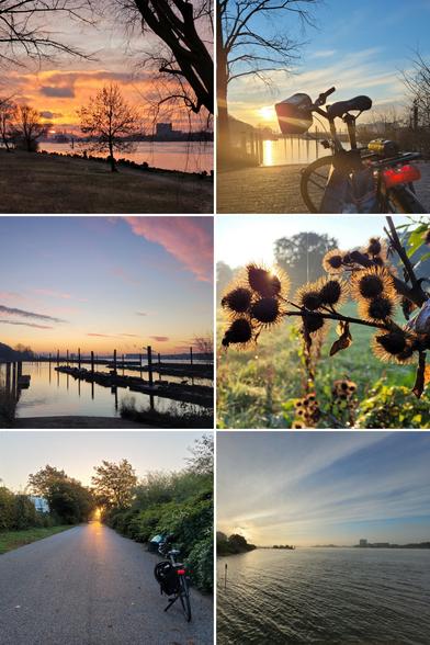 Sechs quadratische Bilder in einer Collage. Alle zeigen die Rlbe im Morgenrot.
1. Kräftig orangeroter Himmel. Im Vordergrund die schwarzen Silhouette winterkahler Büsche und Bäume, am gegenüberliegenden Ufer Häuser. Von links kommt in einiger Entfernung noch ein containerschiff.
2. Im Vordergrund ein Fahrrad von hinten fotografiert aug der Slipanlage des mühlenberger segelhafens. Die Sonne ist schon aufgegangen, steht aber noch niedrig und strahlt hinter einem wolkenband gelb hervor. Das Wasser glänzt golden.
3. Blick auf den leeren mühlenberger segelhafen. Das Wasser ist glatt, Himmel und Holtpfähle spiegeln sich. Am Horizont ein gelblichoranger lichtstreifen, die wenigen Wolken sind lila angestrahlt, der Himmel ist bläulich.
4. Im Vordergrund die piksigen Samenkapsel einer Pflanze auf einer grünen Wiese. Die Sonne scheint von vorne und bringt die feinen Stacheln zum Strahlen.
5. Ein aspahltierter Radwanderweg, links und rechts begrenzt von grünem Gras und grünbelaubten Büschen und Bäumen. Rechts auf dem Weg steht ein Fahrrad in Fahrtrichtung geradeaus.
Am Ende des Weges scheint die aufgehende Sonne tief und orange durch die Bäume. Der Himmel ist klar.
6. Blick auf den fähranleger teufelsbrück. Er ist als kleine, schwarze Silhouette zu erkennen und trennt Himmel und Wasser, die einen Großteil des Bildes einnehmen.
Der Himmel ist blau mit Schleierwolken, ein gelber lichtstreif kündigt die aufgehende Sonne an. Das Wasser ist gräuöich und kabbelig.