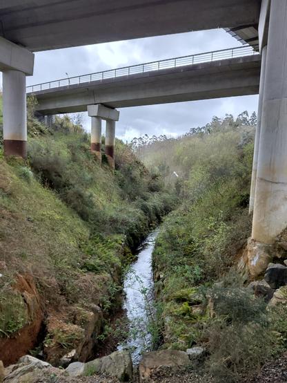 Two train bridges made of concrete pass over a small river with scrub growing on both sides