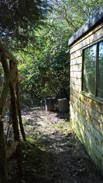 #NotRoses...! They're #OurCamellias and they're #Still #Camellioratin'.