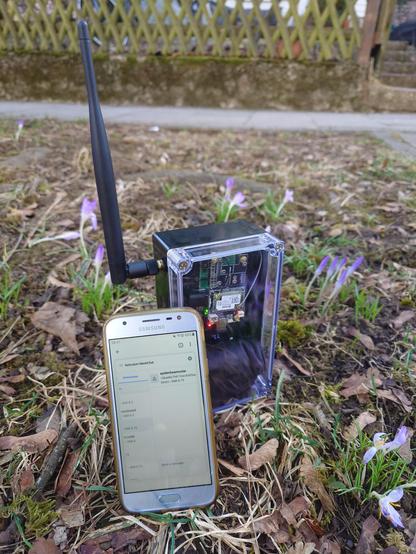 A smartphone showing the MeshChat interface propped up against a box with a transparent lid. In the box is visible a RAK radio rnode and Pi Zero 2 W. An antenna stick up out of the box. The devices are in some leaves and flowers are flowering around it.