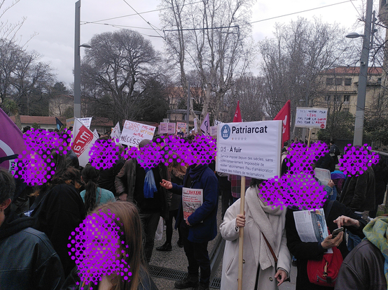 Plusieurs dizaines de personnes dans la rue en train de marcher lentement et parler entre elles. Certaines portent des drapeaux, d'autres des pancartes.

 On a par exemple
 "EVARS : pas une option, une nécessité", 
"Croire les victimes sauve des vies", 
"On te croit", 
et une caricature d'avis laissé sur internet "Patriarcat : 0/5, à fuir. Service imposé depuis des siècles, sans notre consentement. Impossible de résilier l'abonnement. Peu d'amélioration malgré les milliers de réclamations."