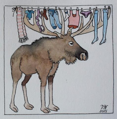 A friendly colour illustration (such as you might see in a children's book) of a moose with a large, multi-pronged rack, with a thin rope stretching from the two prongs furthest apart so as to create a clothesline.

Every inch of the clothesline is pinned with scarves, socks, stockings, and smalls (underwear), as well as dangling from some of the prongs.