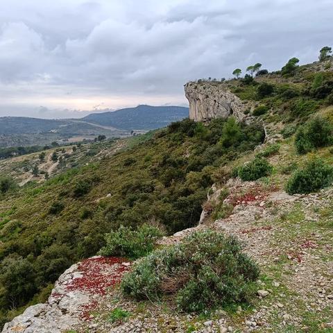 Autour du puech des Mourgues, à Saint-Bauzille-de-Montmel