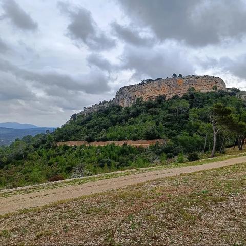 Autour du puech des Mourgues, à Saint-Bauzille-de-Montmel