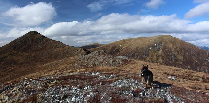 We're on a grassy and rocky mopuntain ridge, with a coupld o fummits in the middle distance. Moray the dog is stood looking into the view. Blue sky with clouds
