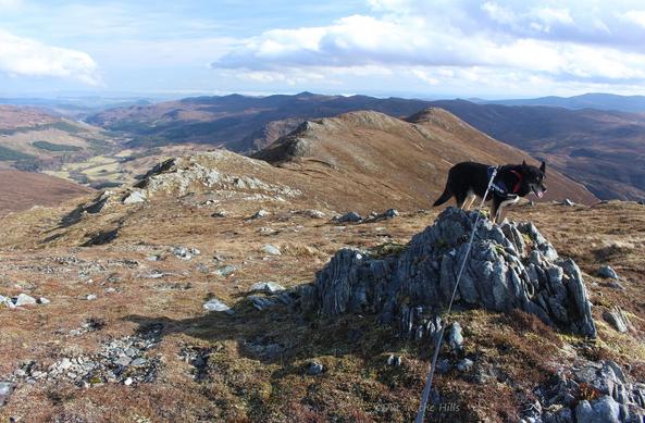 We're on a grassy and rocky hillside, looking along a ridge. Moray the dog is stood on a small rocky outcrop. Blue sky with clouds.