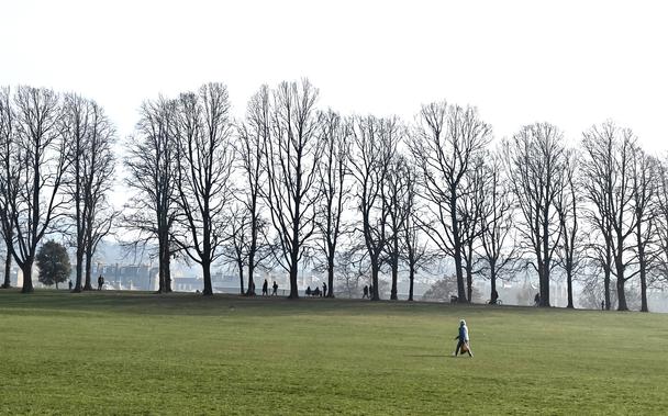 A colour photograph taken in Inverleith Park in Edinburgh. In the foreground is a large area of grass, on which a couple of people are walking in the distance. 

Post the grass is a line of of fifteen tall trees, part of a long avenue through the park. The bare trees are silhouetted against the sky.

In the distance, hard to make out in the fight haze is the skyline of Edinburgh.