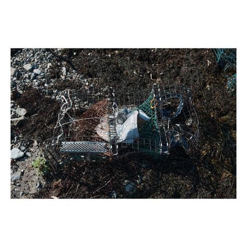 broken lobster trap washed up on beach among seaweed, sand, and pebbles.
