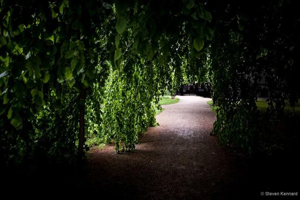 A winding path leads under a bower of hanging leafy branches. The light and dark green leaves reach to the ground, creating a canopy or tunnel of green, which leads into the light.