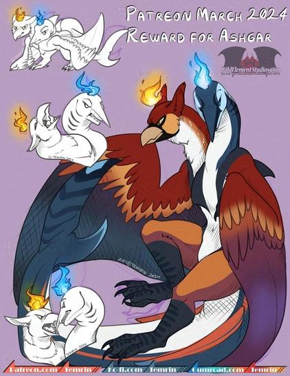 Sketch page for Ashgar from back in march 2024, of a two-headed hybrid character.They are half bird, and half marine mammal/shark like thing. The bird is coloured in reds, white and black, with a flame over their head, while the sea critter is in blues, white and black, with a blue falme over their head. The creature has wings instead of arms that are red on the outside and top inner feathers, with the inner bottom portion being the dark blue of the sea creature. They have a long thick tail with small wings on the site and the end is a shark tail. They also have two humanoid legs in reds and blacks. There is 1 full body pose of them in flat colours, then a chibi quadrupen version of them walking on all fours, a headshot with the sea creature looking disgruntled while the bird has its head back and beak open yelling, then another headshot where the heads are facing eachother and they are angry at eachother. They clearly don't get along well for being one being.