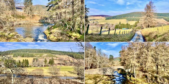 Four photo collage. Warm, sunny day, very early Spring. Blue skies with white fluffy clouds. Top left: fast flowing deep blue water; bare broadleaf trees and green conifers either side of river; green/blue hill in background and white school building to left. Top right: pale green fields; green conifer clad hill and and purple/blue hill in distance; deep blue river to left; grey, narrow road between the fields in foreground. Bottom right: Grey/green conifers; old grey bridge over deep blue river; glimpse of green hill through trees in distance. Bottom left: grey, leafless broadleaf trees, leading to deep blue river running horizontally; leading to pale green field; and green conifer clad hill.