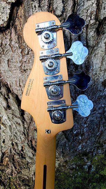 4 string Fender Squier Affinity bass headstock back