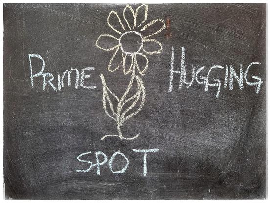 This image shows some chalk art on a blackboard. In the middle is a daisy-like flower. Arranged around the flower are the words, "PRIME HUGGING SPOT".
