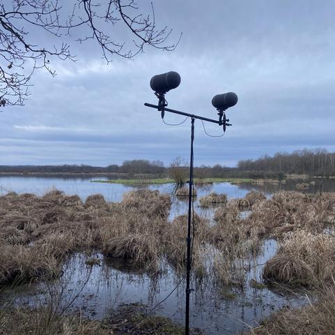 Etang des Landes, Creuse, France