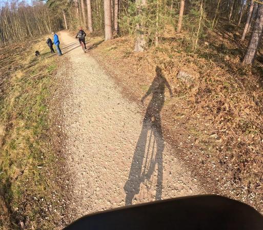 Ombro de unuciklisto en arbaro. Oni povas vidi aliaj homoj, hundo kaj arboj