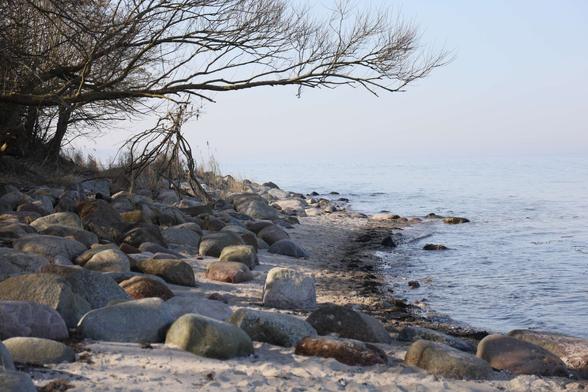 Rechts im Bild die Ostsee mit einem fließenden Übergang zum Himmel. Links ein schattiger Strand mit Steinen und Bäumen.