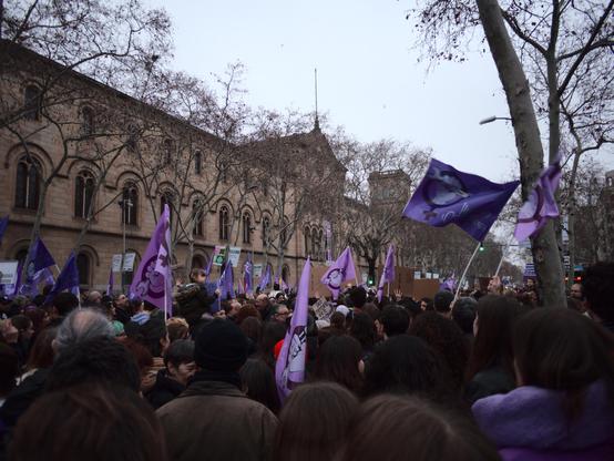 A large crowd has gathered on International Women's Day, with  participants holding purple flags featuring a feminist sign. The scene  unfolds against the backdrop of a street with a grand stone building  standing tall in the background (Universitat de Barcelona historic building). 

Una gran multitud s'ha congregat en la Diada Internacional de les Dones, amb participants que porten banderes violades amb un senyal feminista. L'escena es desenvolupa davant del carrer d'un edifici imponent de pedra (l'edifici històric de la Universitat de Barcelona) al fons.