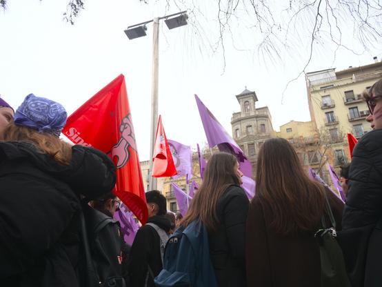 This image captures a vibrant scene of women gathered together, holding flags and banners, amidst an urban setting. In the foreground, several red and purple flags are prominently displayed. On the left edge, two lesbian girls are kissing.

Aquesta imatge captura una escena vibrant de dones reunides, amb banderes i pancartes, en un entorn urbà. A primer terme, diverses banderes roges i liles són molt visibles. Al costat esquerre, dues noies lesbianes estan besant-se.