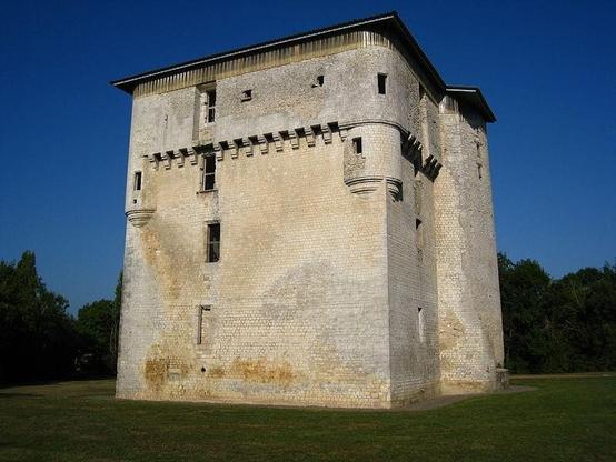 Donjon de Moricq à #Angles (#Vendée) Donjon de Moricq : classement par décret du 6 août 1915.
Suite 👉 https://monumentum.fr/monument-historique/pa00110014/angles-donjon-de-moricq
#Patrimoine #MonumentHistorique
Photo CC-BY-SA 4.0 : Minou85
