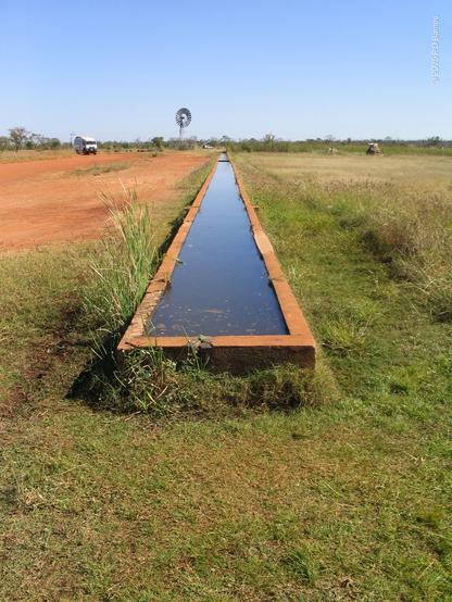 A very, very long water trough for cattle, in an arid, red-dirt  landscape with a distant windmill.