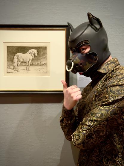 A playful juxtaposition of eras and identities comes alive in this snapshot. On one side, we have a modern-day human pup—a figure donning a sleek neoprene puppy hood with a camouflage-patterned snout and a ring at the muzzle. Their expressive eyes peek out, radiating curiosity and humor, perfectly complemented by their ornate, paisley-patterned gold and black shirt. The pup strikes a confident thumbs-up pose, standing beside a framed etching of a majestic horse.

The artwork in question is *The Frisian Horse, from Series of Horses* by Dutch artist Paulus Potter (1625–1654). Created in 1652, this etching captures the dignified stance of a Frisian horse, its powerful form rendered with meticulous detail against a pastoral backdrop. Potter was renowned for his ability to depict animals with remarkable realism and character, and this piece is no exception. The horse stands as a timeless symbol of strength and grace, its image preserved on paper for centuries.

This etching is part of the Charles Hack and the Hearn Family Trust Collection. It was acquired through contributions from various endowment funds, including the Herry B. and Bessie K. Braude Memorial and other generous donors. The piece now resides as a testament to both artistic heritage and the enduring connection between humans and animals.

The contrast between the pup’s contemporary gear and the horse’s classical depiction creates an intriguing dialogue between past and present. It’s a visual ode to how our fascinatio